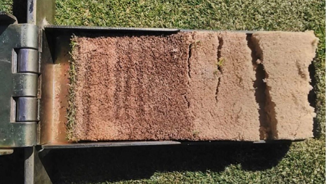 Turf Nutrition for RSA Golf Courses