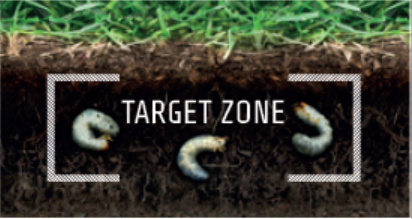 Target Zone