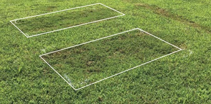 Manuscript Herbicide for Turf Grass UAE