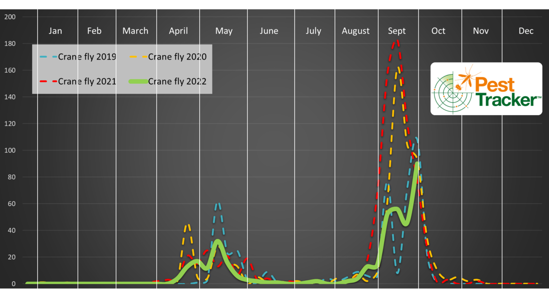 UAE Turf Pest Graph